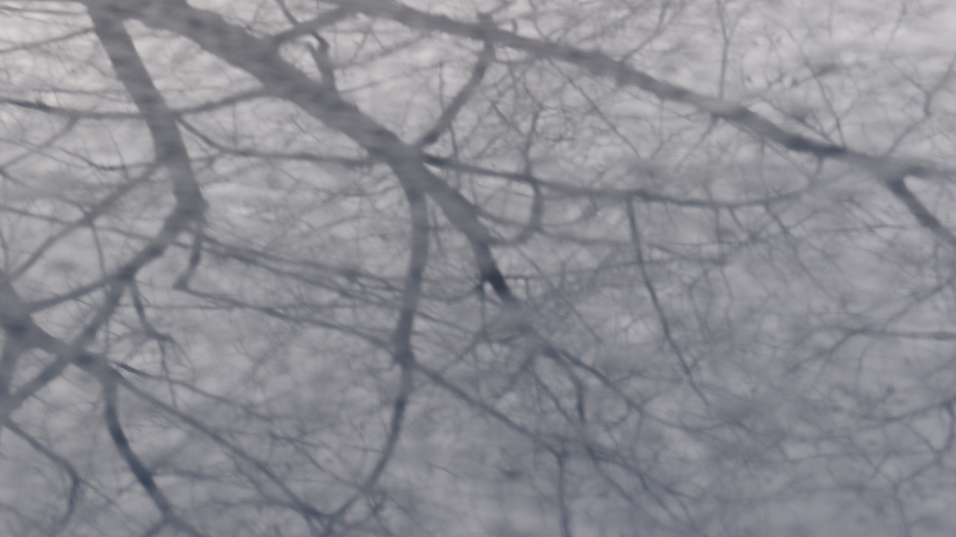 2021-01-06 - 08 Kühlgeträt (On/Off) (Remix John Cage - Empty Words IV)